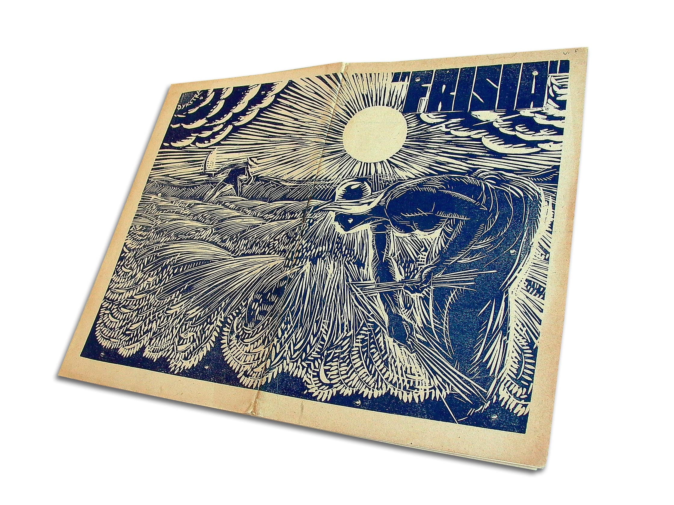 0506 omslag frisia.jpg